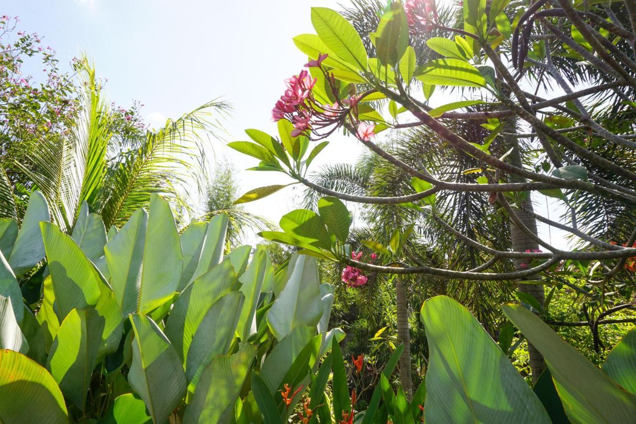 Ibludan Hotel Senggigi Zewnętrze zdjęcie