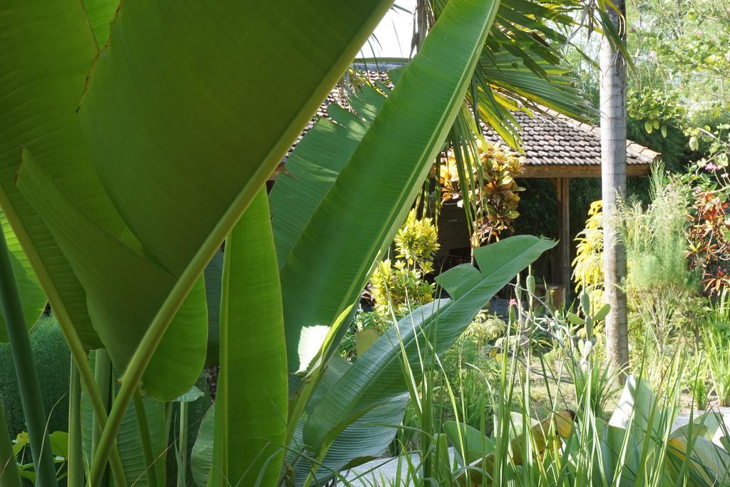 Ibludan Hotel Senggigi Zewnętrze zdjęcie