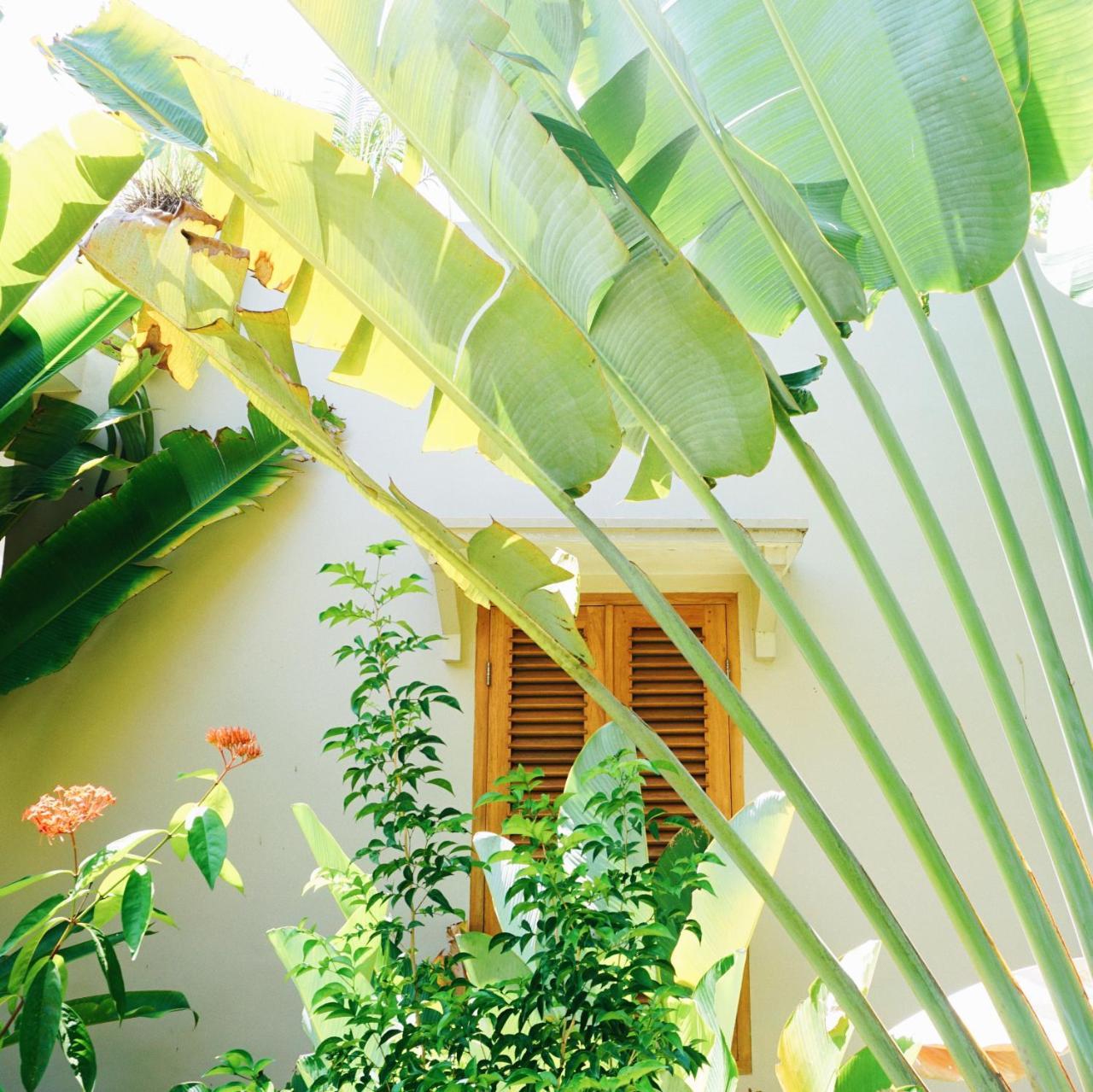 Ibludan Hotel Senggigi Zewnętrze zdjęcie